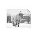 Picture of Fluffy Friend _GroupedProduct_Rectangle_Landscape_Photography _GroupedProduct_Rectangle_Landscape_Unframed_Print_Only_