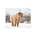 Picture of Fluffy Friend _GroupedProduct_Rectangle_Landscape_Photography _GroupedProduct_Rectangle_Landscape_Unframed_Print_Only_