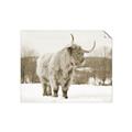 Picture of Fluffy Friend _GroupedProduct_Rectangle_Landscape_Photography _GroupedProduct_Rectangle_Landscape_Unframed_Print_Only_