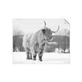 Picture of Fluffy Friend _GroupedProduct_Rectangle_Landscape_Photography _GroupedProduct_Rectangle_Landscape_Unframed_Print_Only_