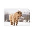 Picture of Fluffy Friend _GroupedProduct_Rectangle_Landscape_Photography _GroupedProduct_Rectangle_Landscape_Unframed_Print_Only_