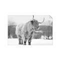 Picture of Fluffy Friend _GroupedProduct_Rectangle_Landscape_Photography _GroupedProduct_Rectangle_Landscape_Unframed_Print_Only_