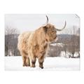 Picture of Fluffy Friend _GroupedProduct_Rectangle_Landscape_Photography _GroupedProduct_Rectangle_Landscape_Unframed_Print_Only_