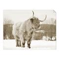 Picture of Fluffy Friend _GroupedProduct_Rectangle_Landscape_Photography _GroupedProduct_Rectangle_Landscape_Unframed_Print_Only_