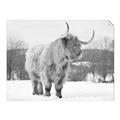 Picture of Fluffy Friend _GroupedProduct_Rectangle_Landscape_Photography _GroupedProduct_Rectangle_Landscape_Unframed_Print_Only_