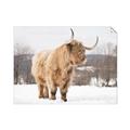 Picture of Fluffy Friend _GroupedProduct_Rectangle_Landscape_Photography _GroupedProduct_Rectangle_Landscape_Unframed_Print_Only_