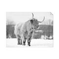 Picture of Fluffy Friend _GroupedProduct_Rectangle_Landscape_Photography _GroupedProduct_Rectangle_Landscape_Unframed_Print_Only_