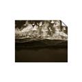 Picture of Black sand beach in Iceland _GroupedProduct_Rectangle_Landscape_Photography _GroupedProduct_Rectangle_Landscape_Unframed_Print_Only_