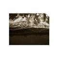 Picture of Black sand beach in Iceland _GroupedProduct_Rectangle_Landscape_Photography _GroupedProduct_Rectangle_Landscape_Unframed_Print_Only_