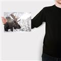 Picture of Elliot, the moose _GroupedProduct_Rectangle_Landscape_Photography _GroupedProduct_Rectangle_Landscape_Canvas_