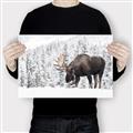Picture of Winter Moose _GroupedProduct_Rectangle_Landscape_Photography _GroupedProduct_Rectangle_Landscape_Canvas_
