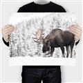 Picture of Winter Moose _GroupedProduct_Rectangle_Landscape_Photography _GroupedProduct_Rectangle_Landscape_Canvas_
