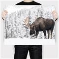 Picture of Winter Moose _GroupedProduct_Rectangle_Landscape_Photography _GroupedProduct_Rectangle_Landscape_Canvas_