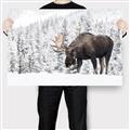 Picture of Winter Moose _GroupedProduct_Rectangle_Landscape_Photography _GroupedProduct_Rectangle_Landscape_Canvas_