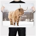 Picture of Fluffy Friend _GroupedProduct_Rectangle_Landscape_Photography _GroupedProduct_Rectangle_Landscape_Canvas_