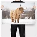Picture of Fluffy Friend _GroupedProduct_Rectangle_Landscape_Photography _GroupedProduct_Rectangle_Landscape_Canvas_
