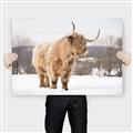 Picture of Fluffy Friend _GroupedProduct_Rectangle_Landscape_Photography _GroupedProduct_Rectangle_Landscape_Canvas_