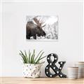 Picture of Elliot, the moose _GroupedProduct_Rectangle_Landscape_Photography _GroupedProduct_Rectangle_Landscape_Canvas_