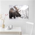 Picture of Elliot, the moose _GroupedProduct_Rectangle_Landscape_Photography _GroupedProduct_Rectangle_Landscape_Canvas_