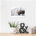 Picture of Winter Moose _GroupedProduct_Rectangle_Landscape_Photography _GroupedProduct_Rectangle_Landscape_Canvas_