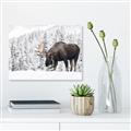 Picture of Winter Moose _GroupedProduct_Rectangle_Landscape_Photography _GroupedProduct_Rectangle_Landscape_Canvas_