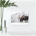 Picture of Winter Moose _GroupedProduct_Rectangle_Landscape_Photography _GroupedProduct_Rectangle_Landscape_Canvas_