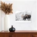 Picture of Winter Moose _GroupedProduct_Rectangle_Landscape_Photography _GroupedProduct_Rectangle_Landscape_Canvas_