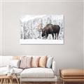Picture of Winter Moose _GroupedProduct_Rectangle_Landscape_Photography _GroupedProduct_Rectangle_Landscape_Canvas_
