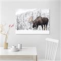 Picture of Winter Moose _GroupedProduct_Rectangle_Landscape_Photography _GroupedProduct_Rectangle_Landscape_Canvas_