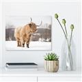 Picture of Fluffy Friend _GroupedProduct_Rectangle_Landscape_Photography _GroupedProduct_Rectangle_Landscape_Canvas_