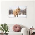 Picture of Fluffy Friend _GroupedProduct_Rectangle_Landscape_Photography _GroupedProduct_Rectangle_Landscape_Canvas_