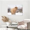 Picture of Fluffy Friend _GroupedProduct_Rectangle_Landscape_Photography _GroupedProduct_Rectangle_Landscape_Canvas_