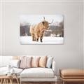 Picture of Fluffy Friend _GroupedProduct_Rectangle_Landscape_Photography _GroupedProduct_Rectangle_Landscape_Canvas_