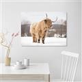 Picture of Fluffy Friend _GroupedProduct_Rectangle_Landscape_Photography _GroupedProduct_Rectangle_Landscape_Canvas_