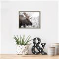 Picture of Elliot, the moose _GroupedProduct_Rectangle_Landscape_Photography _GroupedProduct_Rectangle_Landscape_Canvas_Framed_