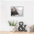 Picture of Elliot, the moose _GroupedProduct_Rectangle_Landscape_Photography _GroupedProduct_Rectangle_Landscape_Canvas_Framed_