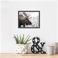 Picture of Elliot, the moose _GroupedProduct_Rectangle_Landscape_Photography _GroupedProduct_Rectangle_Landscape_Canvas_Framed_