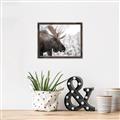 Picture of Elliot, the moose _GroupedProduct_Rectangle_Landscape_Photography _GroupedProduct_Rectangle_Landscape_Canvas_Framed_