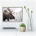 Picture of Elliot, the moose _GroupedProduct_Rectangle_Landscape_Photography _GroupedProduct_Rectangle_Landscape_Canvas_Framed_