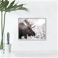 Picture of Elliot, the moose _GroupedProduct_Rectangle_Landscape_Photography _GroupedProduct_Rectangle_Landscape_Canvas_Framed_