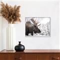 Picture of Elliot, the moose _GroupedProduct_Rectangle_Landscape_Photography _GroupedProduct_Rectangle_Landscape_Canvas_Framed_