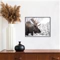 Picture of Elliot, the moose _GroupedProduct_Rectangle_Landscape_Photography _GroupedProduct_Rectangle_Landscape_Canvas_Framed_