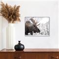 Picture of Elliot, the moose _GroupedProduct_Rectangle_Landscape_Photography _GroupedProduct_Rectangle_Landscape_Canvas_Framed_