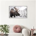 Picture of Elliot, the moose _GroupedProduct_Rectangle_Landscape_Photography _GroupedProduct_Rectangle_Landscape_Canvas_Framed_