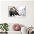 Picture of Elliot, the moose _GroupedProduct_Rectangle_Landscape_Photography _GroupedProduct_Rectangle_Landscape_Canvas_Framed_