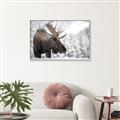 Picture of Elliot, the moose _GroupedProduct_Rectangle_Landscape_Photography _GroupedProduct_Rectangle_Landscape_Canvas_Framed_