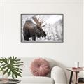 Picture of Elliot, the moose _GroupedProduct_Rectangle_Landscape_Photography _GroupedProduct_Rectangle_Landscape_Canvas_Framed_