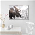 Picture of Elliot, the moose _GroupedProduct_Rectangle_Landscape_Photography _GroupedProduct_Rectangle_Landscape_Canvas_Framed_