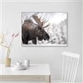 Picture of Elliot, the moose _GroupedProduct_Rectangle_Landscape_Photography _GroupedProduct_Rectangle_Landscape_Canvas_Framed_