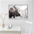 Picture of Elliot, the moose _GroupedProduct_Rectangle_Landscape_Photography _GroupedProduct_Rectangle_Landscape_Canvas_Framed_
